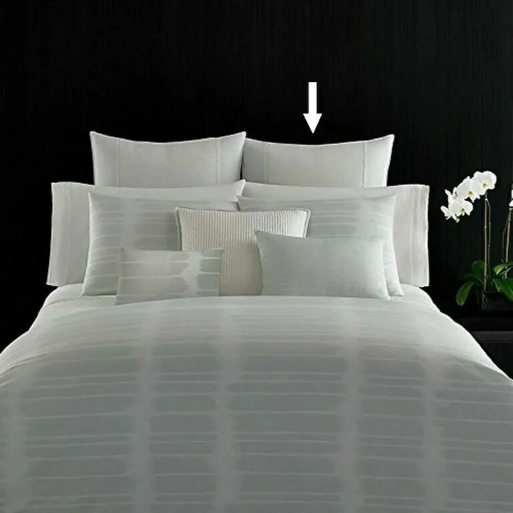 Vera Wang Painted Stripe European Euro Sham Aqua White Ramie Linen Dorm 26x26